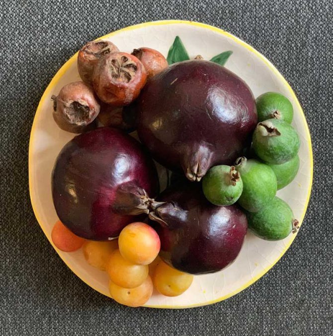 Azgil (Persian loquat) + Fojia + yellow plums + black pomegranates