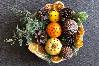Pomander made with orange, quince, lemon pierced with clove spice, styled with pine leaves, pine cones, dried orange slices