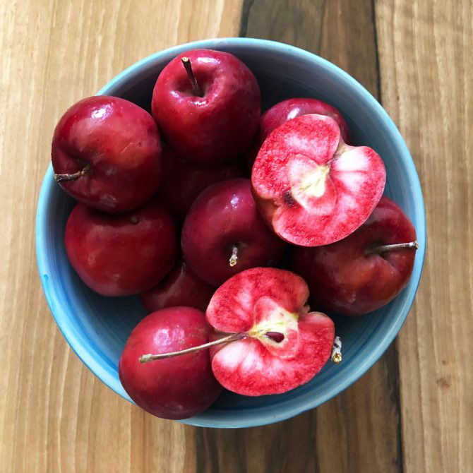 blood apple red inside & out in a blue bowl | food styled for Persian food blog