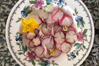 radishes food styled for Persian food blog